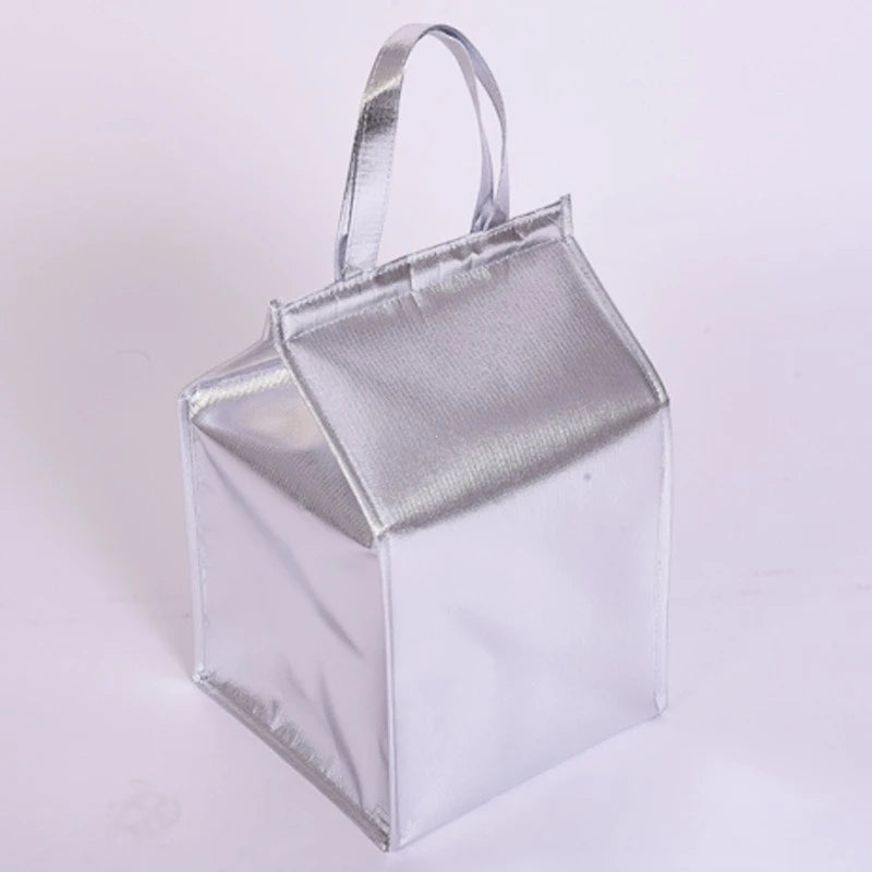 Insulated Thermal Bag – Aluminum Foil Foldable Cooler Tote
