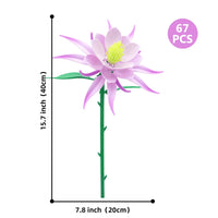 EPIPHYLLUM