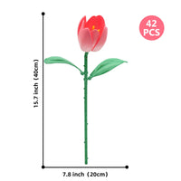 PINK TULIP
