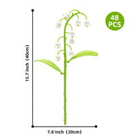 Lily of Valley