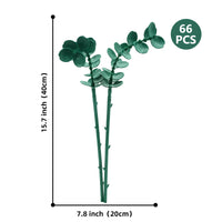 EUCALYPTUS