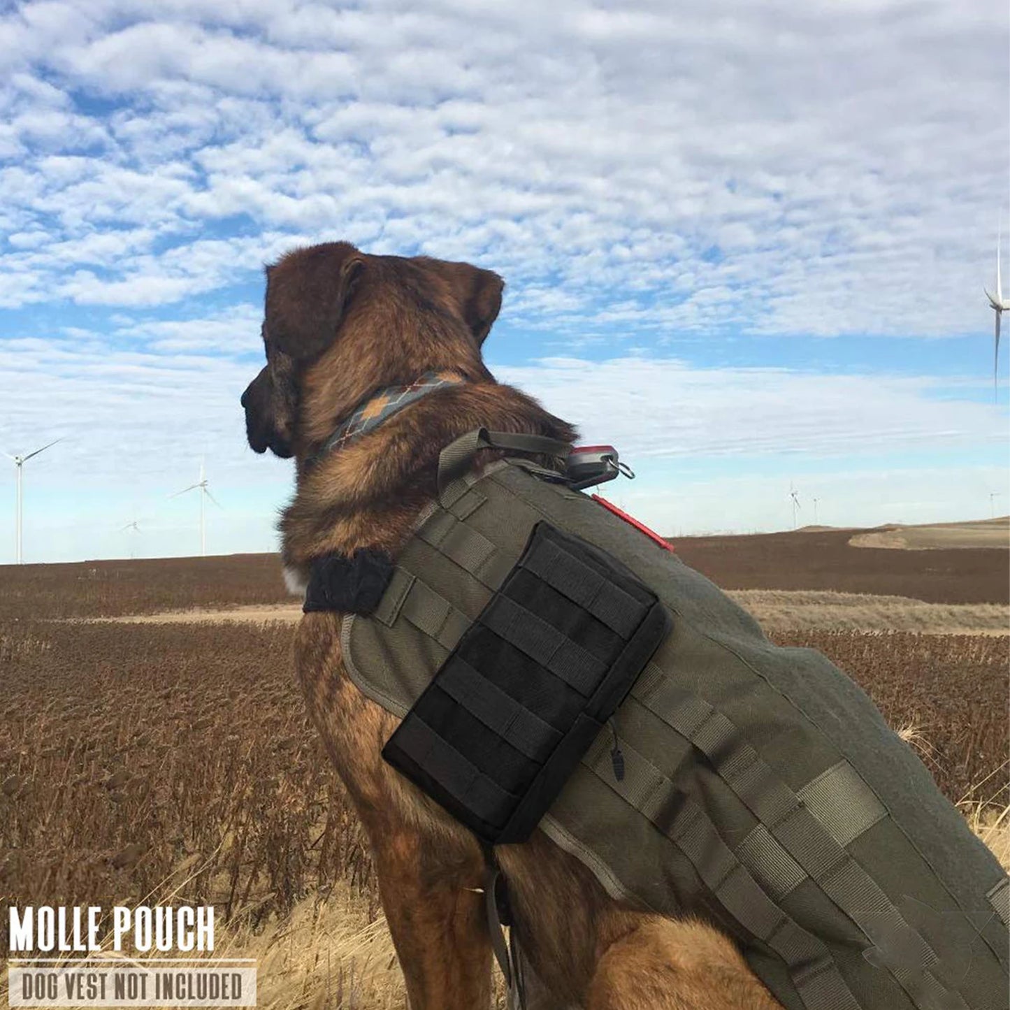 Tactical MOLLE EDC Utility Pouch – Compact & Water-Resistant