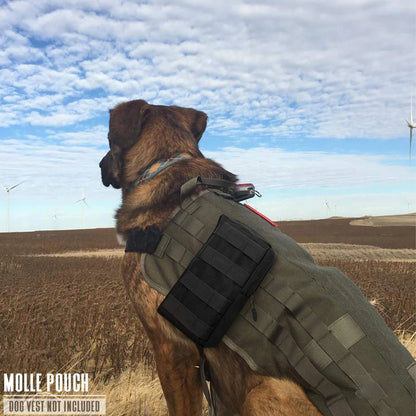 Tactical MOLLE EDC Utility Pouch – Compact & Water-Resistant
