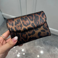 Brown Leopard