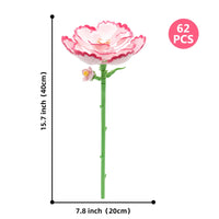 CARNATION