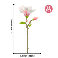 MAGNOLIA