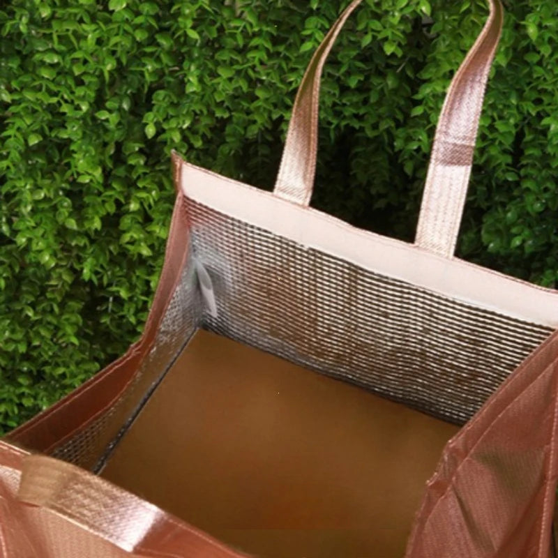 Insulated Thermal Bag – Aluminum Foil Foldable Cooler Tote